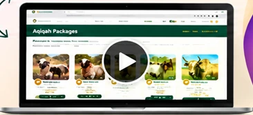 Preview of the animal booking tutorial